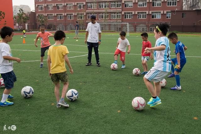 鲁媒：泰山队有必要尽早圈定心仪中场外援，并与意中人进行接洽